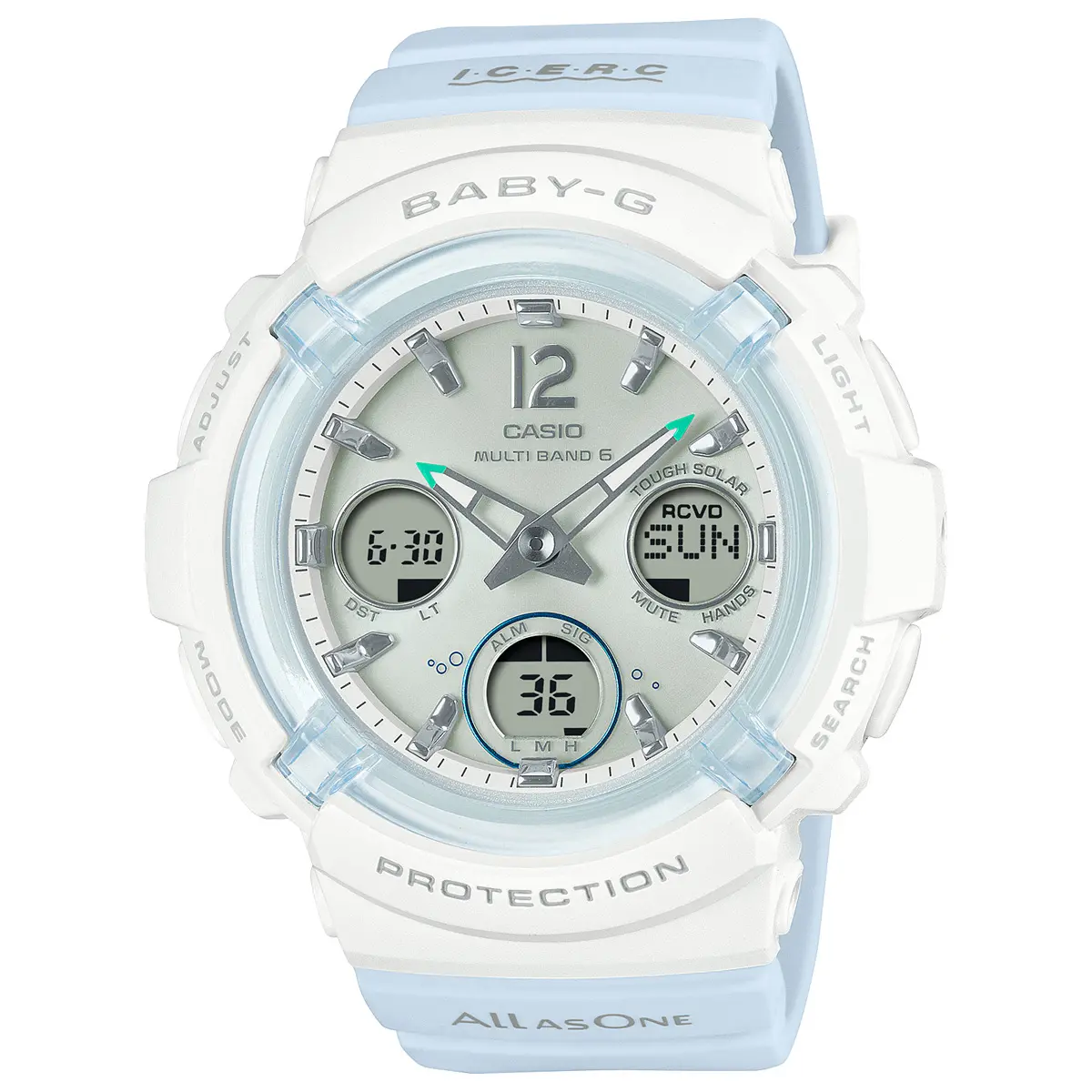 ハナジロウさま専用 ハナジロウさま専用 ハナジロウさま専用