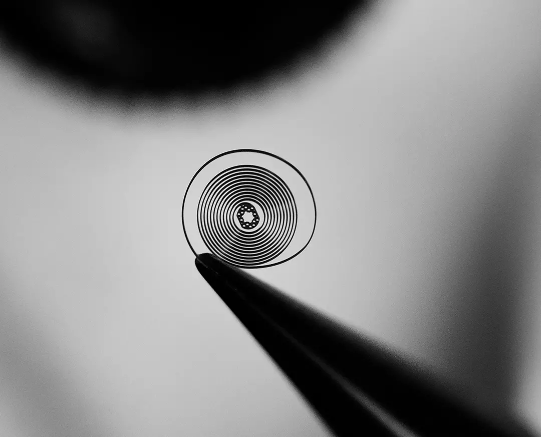 時計史に残る革新的ヒゲゼンマイ「TH-カーボンスプリング」を初搭載